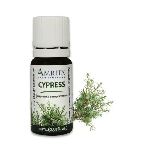 THEOMSHOPPE CSB Cypress Essential Oil – Wildcrafted – Grade A Therapeutic – 10 ml