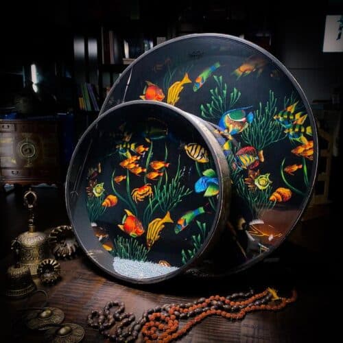 Ocen Drum Fish Design Remo 22 inch and 16 inch