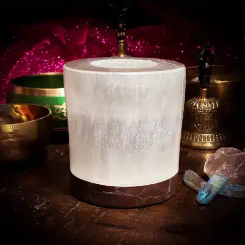 THEOMSHOPPE CSB Selenite & Orthoceras Fossil Candle Holder