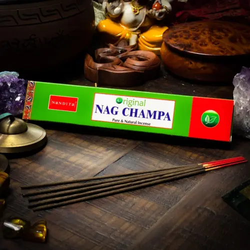 THEOMSHOPPE CSB Nag Champa Incense